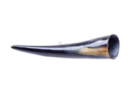 Horn 