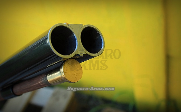 Plains Shotgun 20ga S.652