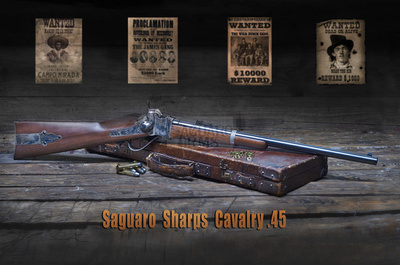 Sharps  Cavalry Carbine 1874 45-70 Gov 