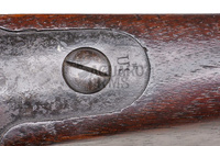Springfield Trapdoor