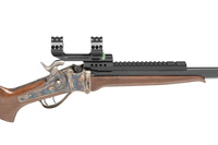 Sharps Saguaro Silhouette Perfect . 38 with a rail and mount to install a scope