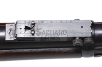 Springfield Trapdoor