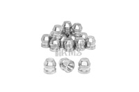 Minie Bullets 720 (12ga)