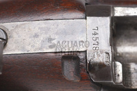 ORYGINALNY Springfield Trapdoor Carbine 1875 45-70Gov