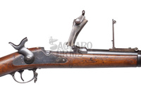 Trapdoor mod.1884 45-70