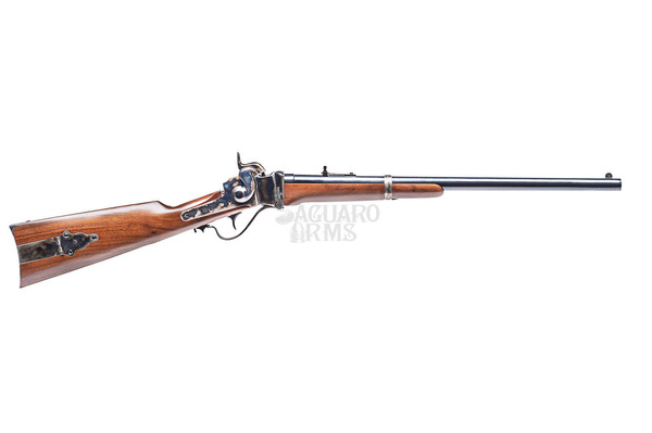Sharps Saguaro Cavalry 45Sag 2,1