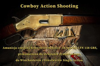 Ammunition .38 Special LFN