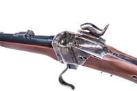 Sharps Saguaro Hunter Carbine .45 26"